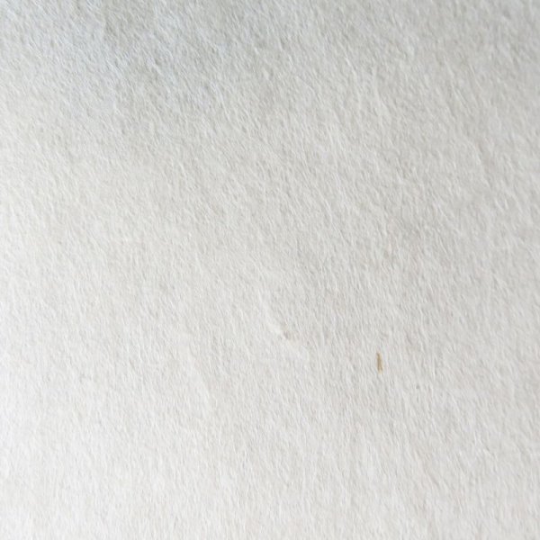 画像2: 大洲和紙 楮紙(晒) (2)