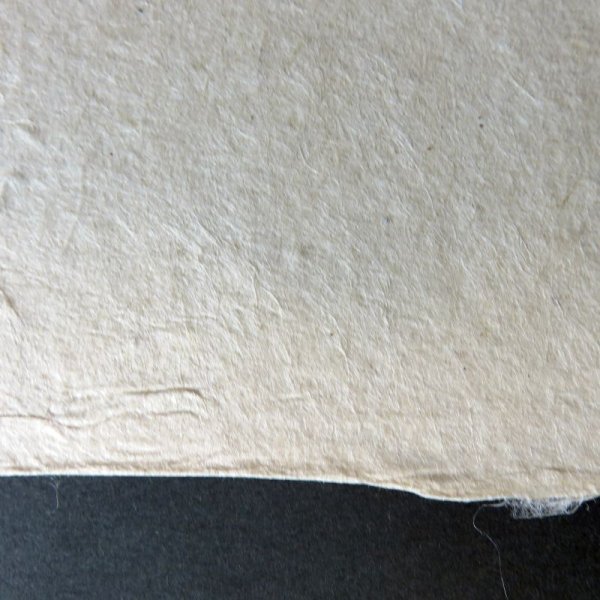 画像2: 越中和紙 生紙楮紙 未晒 (2)