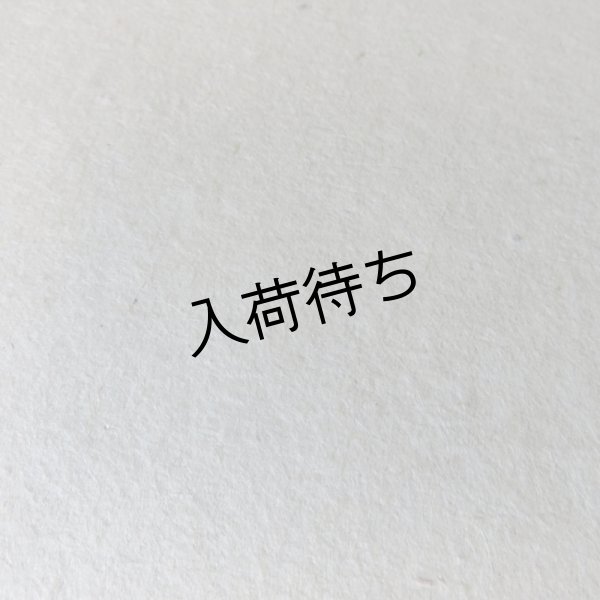 画像3: 越中和紙　生紙楮紙　未晒 (3)