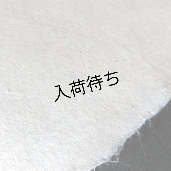 画像4: 越中和紙　生紙楮紙　晒 (4)