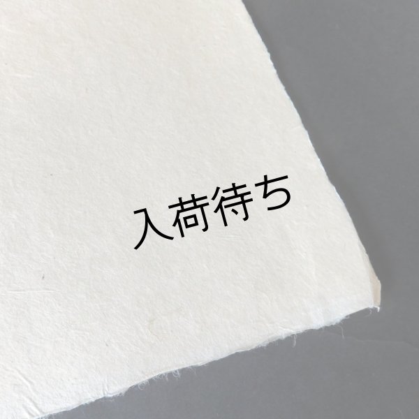 画像1: 越中和紙　生紙楮紙　未晒 (1)