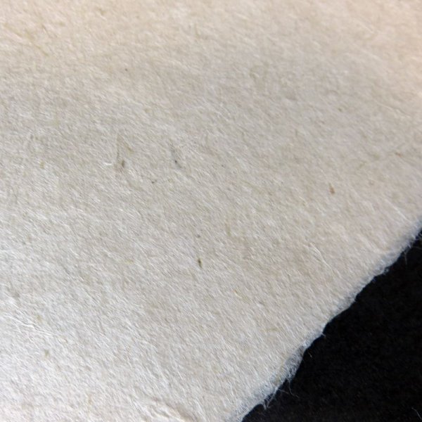 画像4: 越中和紙 生紙楮紙 未晒 (4)