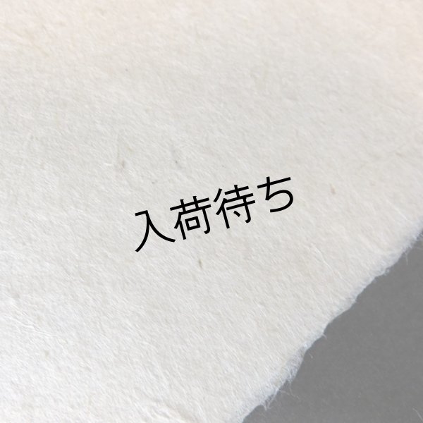 画像4: 越中和紙　生紙楮紙　未晒 (4)