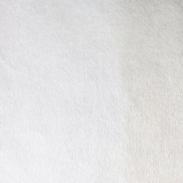 画像2: 美濃和紙 障子紙 晒 (2)