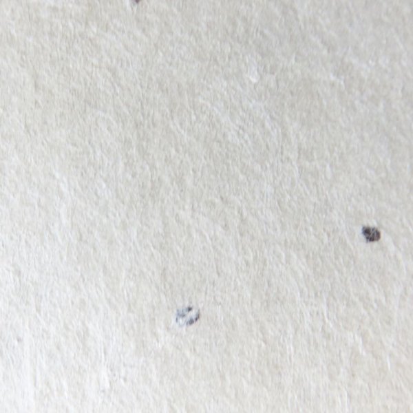 画像2: 山中和紙　チリ入二枚合せ (2)