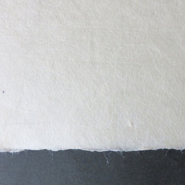 画像4: 山中和紙 二枚合せ (4)