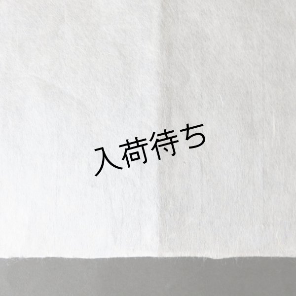 画像4: 因州和紙　楮紙　未晒 (4)