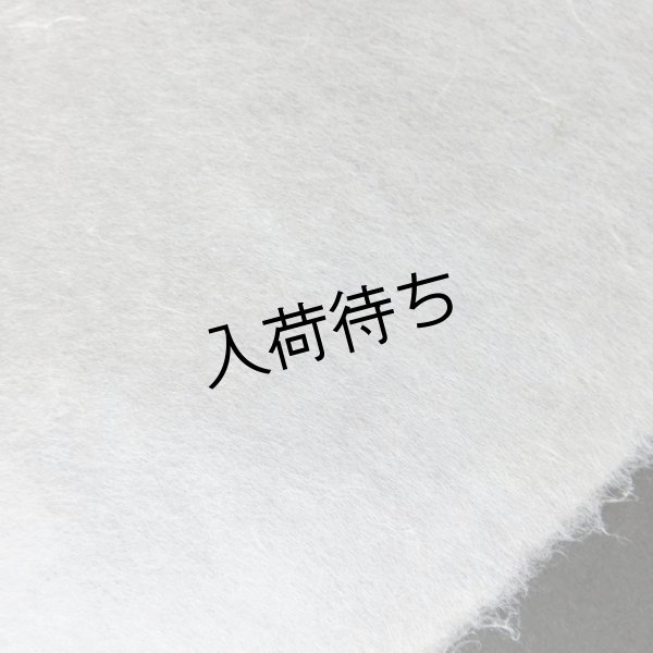 画像3: 因州和紙　楮紙　未晒 (3)