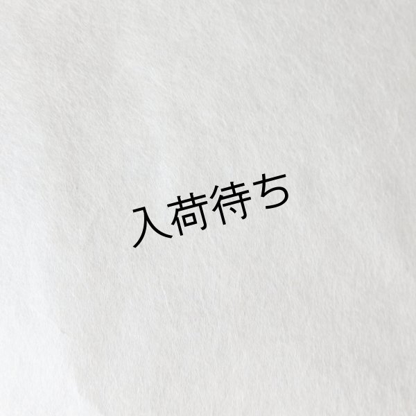 画像2: 因州和紙　楮紙　未晒 (2)