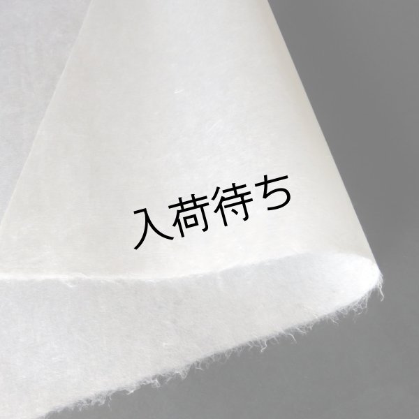 画像1: 因州和紙　楮紙　未晒 (1)