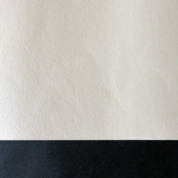 画像4: 越前和紙 鳥の子3号 (4)