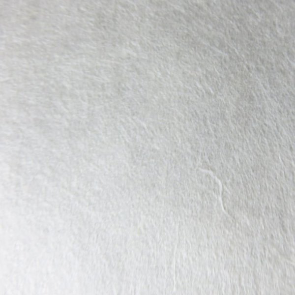 画像3: 因州和紙 楮紙 未晒 (3)