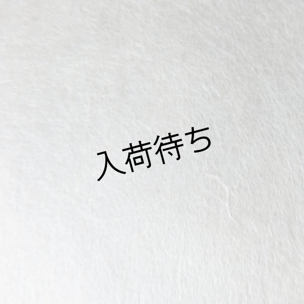 画像3: 因州和紙　楮紙　未晒 (3)