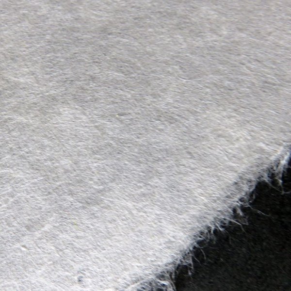 画像4: 因州和紙 楮紙 未晒 (4)