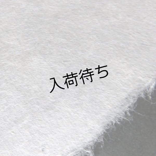 画像4: 因州和紙　楮紙　未晒 (4)