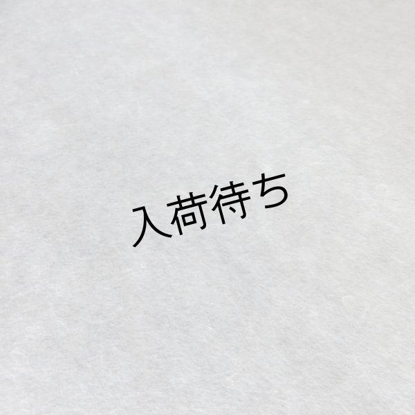 画像5: 因州和紙　楮紙　未晒 (5)