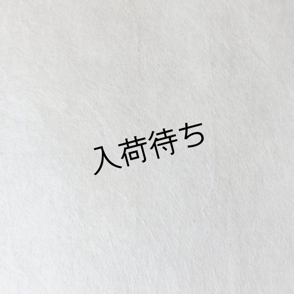 画像5: 八女和紙　美須紙　　薄口 (5)