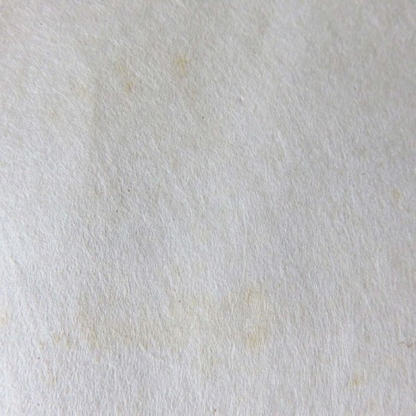 画像7: 八女和紙　版画用紙　未晒　（特価品） (7)