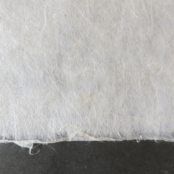 画像5: 楮紙 未晒(ちり) (5)