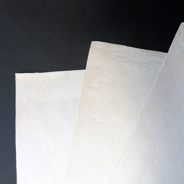 画像3: 三椏紙 320×450mm (3)