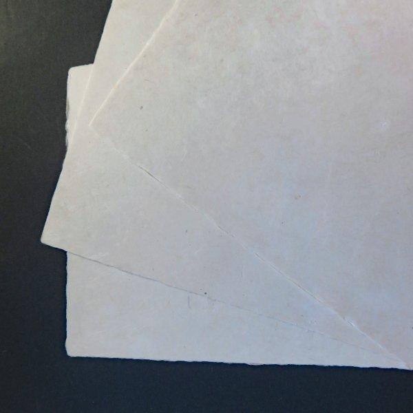 画像3: 伊予和紙 耳付 未晒 はがき倍判 (3)