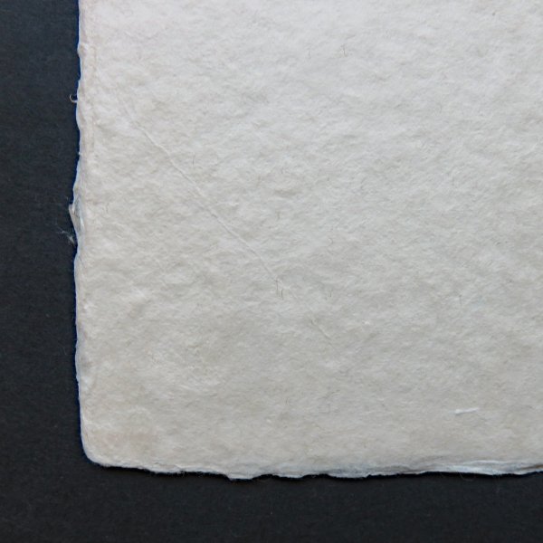 画像3: 因州和紙 色紙 耳付 未晒 (3)