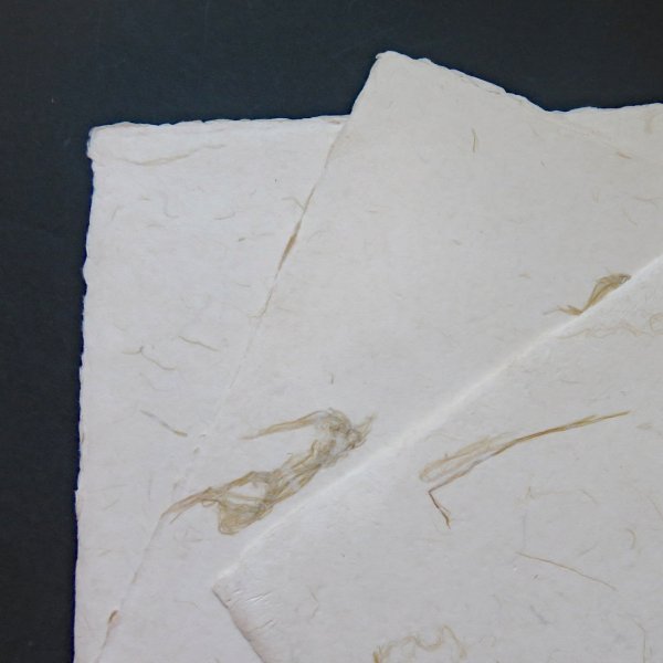 画像2: 因州和紙　色紙　耳付　筋入り (2)