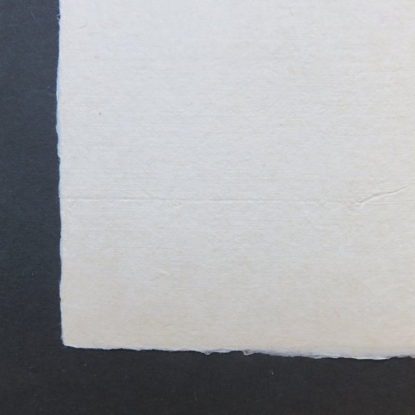 画像5: 伊予和紙 耳付 未晒 はがき倍判 (5)