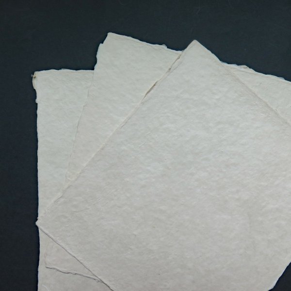 画像4: 因州和紙 色紙 耳付 未晒 (4)