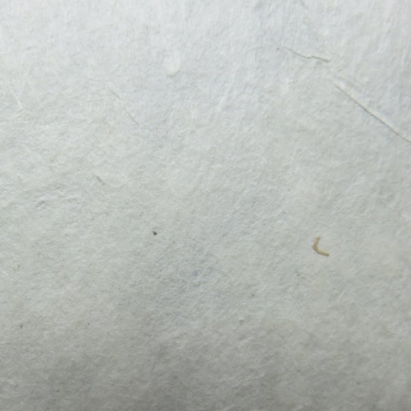 画像2: 加賀二俣和紙 灰煮 楮紙 660×790mm (2)