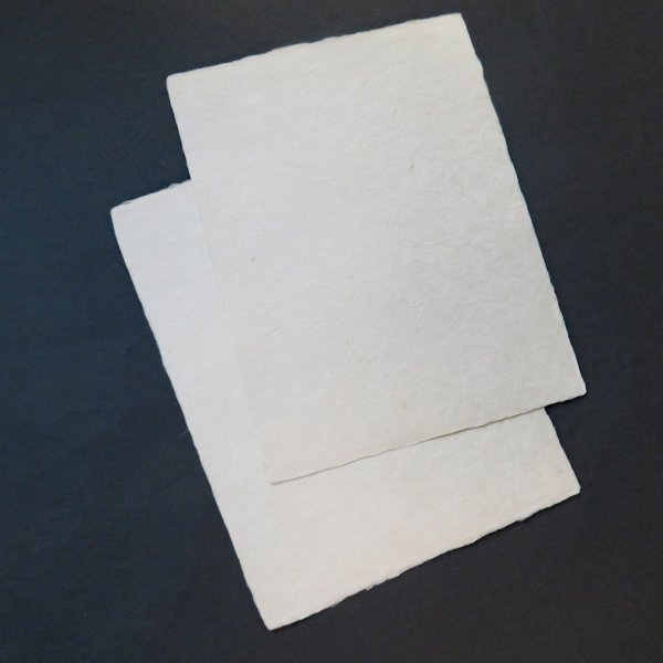 画像6: 伊予和紙 耳付 未晒 はがき倍判 (6)