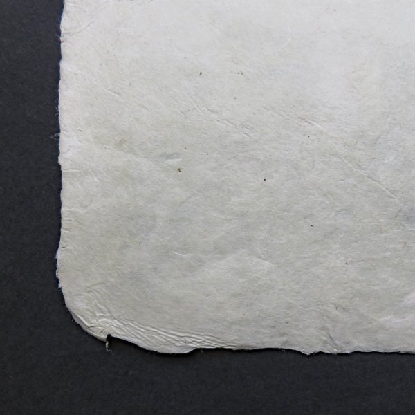 画像5: 加賀二俣和紙 灰煮 楮紙 660×790mm (5)