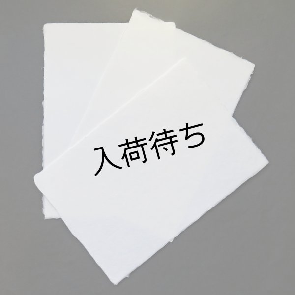 画像3: 耳付 白 215×315mm (3)