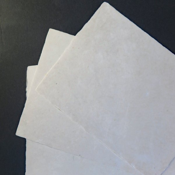 画像2: 伊予和紙 耳付 未晒 はがき倍判 (2)