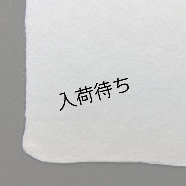 画像5: 耳付 白 215×315mm (5)