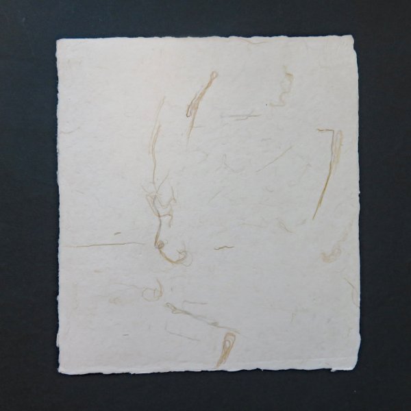 画像5: 因州和紙　色紙　耳付　筋入り (5)