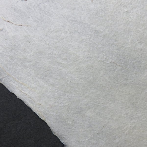 画像3: 加賀二俣和紙 灰煮 楮紙 660×790mm (3)