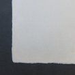 画像4: 伊予和紙　耳付　未晒　はがき倍判 (4)