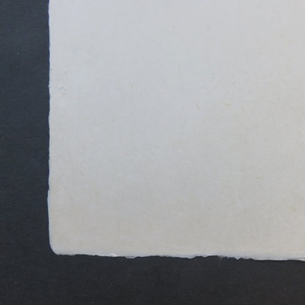 画像4: 伊予和紙 耳付 未晒 はがき倍判 (4)