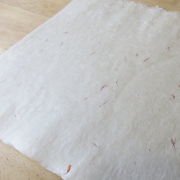 ワケアリ　シワ