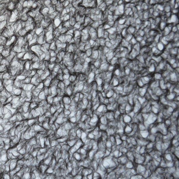 画像6: 黒　落水 (6)