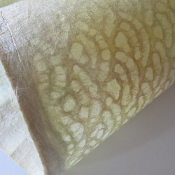 画像6: 黄色ぼかし　青海波 (6)