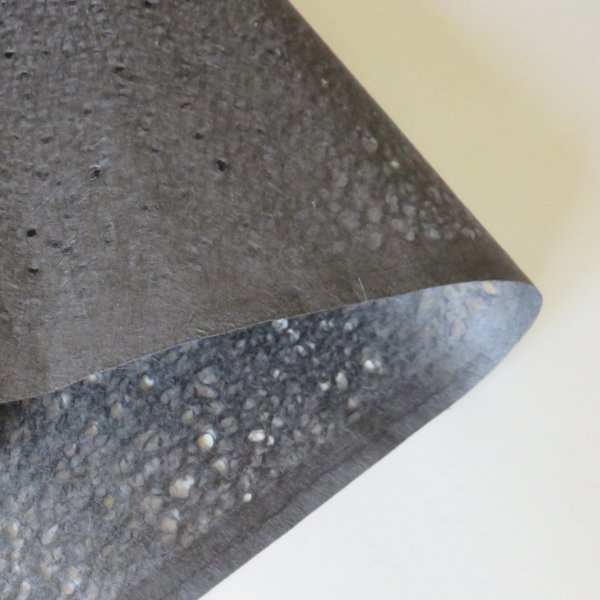 画像2: 黒　落水 (2)