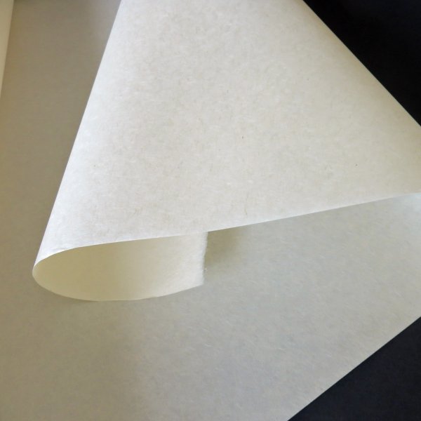 画像2: フィリピン雁皮紙 (2)