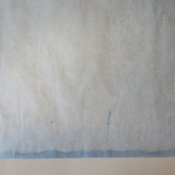 画像4: 土佐和紙　土佐典具帖紙　灰煮　水色 (4)