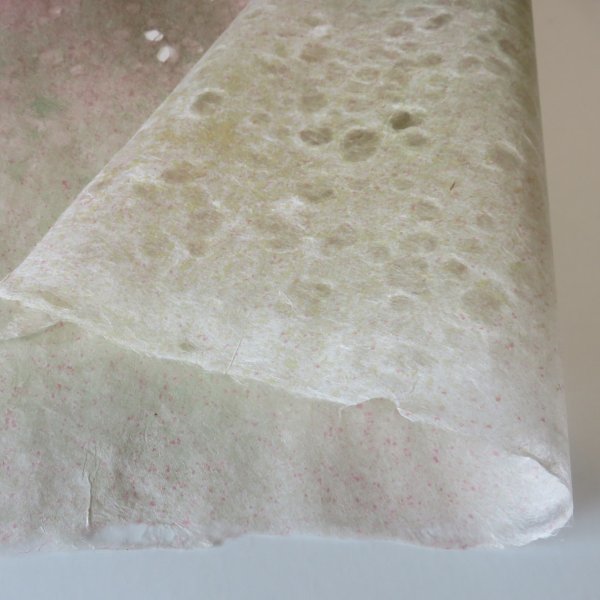 画像10: 染紙　落水　オレンジ＋紫＋ピンク＋緑ぼかし (10)