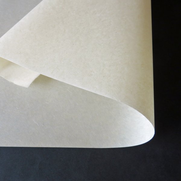 画像1: フィリピン雁皮紙 (1)