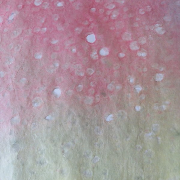 画像2: 染紙　落水　ピンク＋黄色＋水色ぼかし (2)