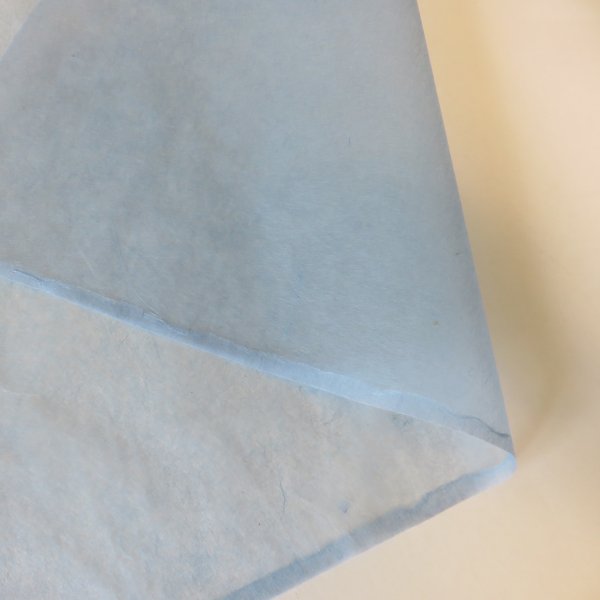 画像2: 土佐和紙　土佐典具帖紙　灰煮　水色 (2)