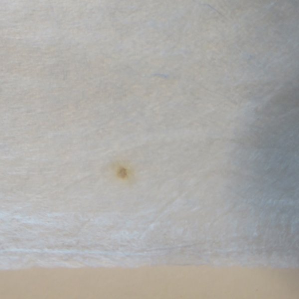 画像6: 土佐和紙　土佐典具帖紙　灰煮　水色 (6)